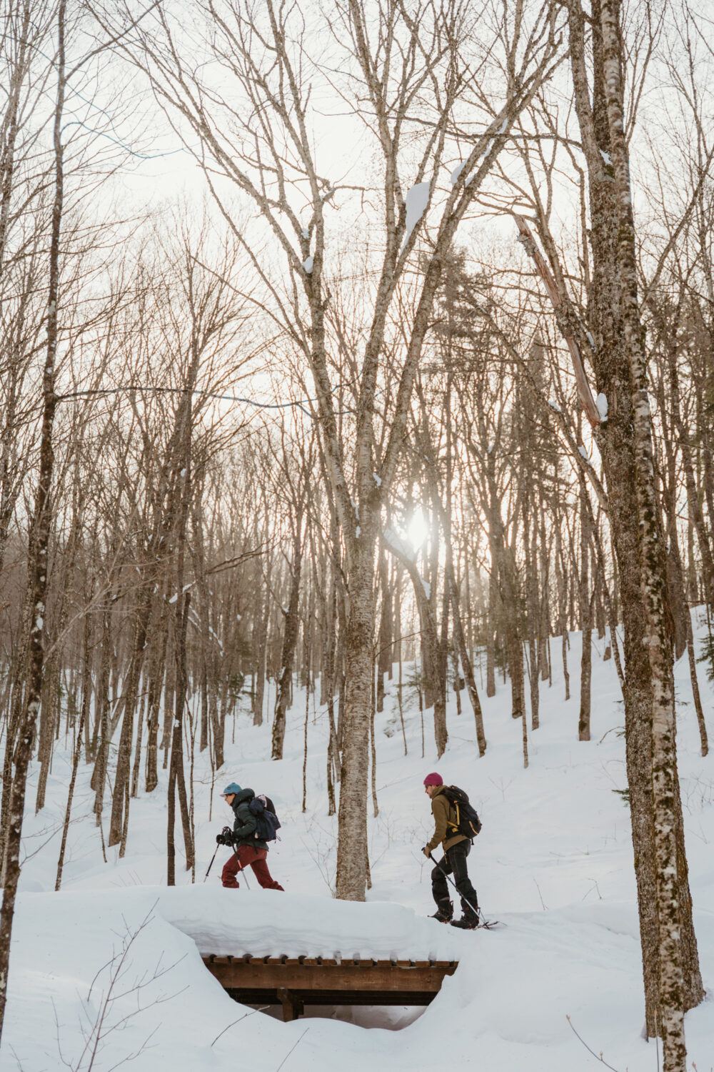 Credit Amy Gagnon Studio Collectif 27